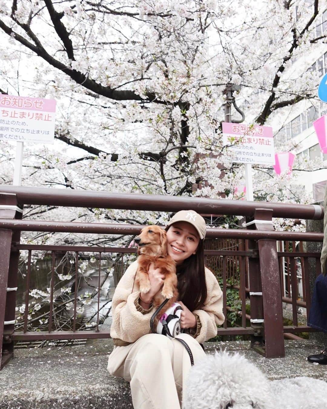 森英奈さんのインスタグラム写真 - (森英奈Instagram)「桜綺麗だったね❤︎  #中目黒#目黒川」3月27日 19時50分 - hana_mori18
