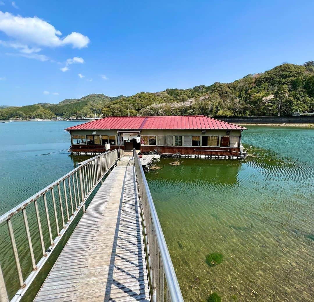 佐脇慧一さんのインスタグラム写真 - (佐脇慧一Instagram)「高知県の「浮橋」に行ってきました！ 東京ではなかなか体験できない海上レストランでの美味しすぎる貝料理と海の幸！貝しゃぶしゃぶ最高でした！ なにより人の温かさに感動と感謝‼️  #高知ランチ　#海上レストラン　#高知観光　#浮橋　#貝しゃぶ  #伊勢海老　#長太郎貝」3月27日 20時12分 - keiichi_sawaki