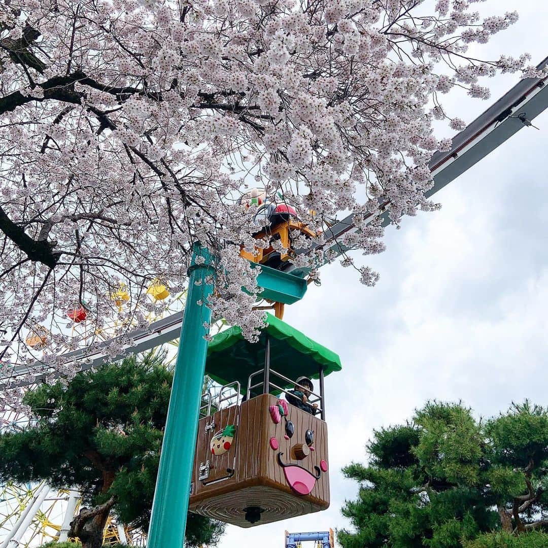 You Iwamotoのインスタグラム：「ローカル遊園地と桜」