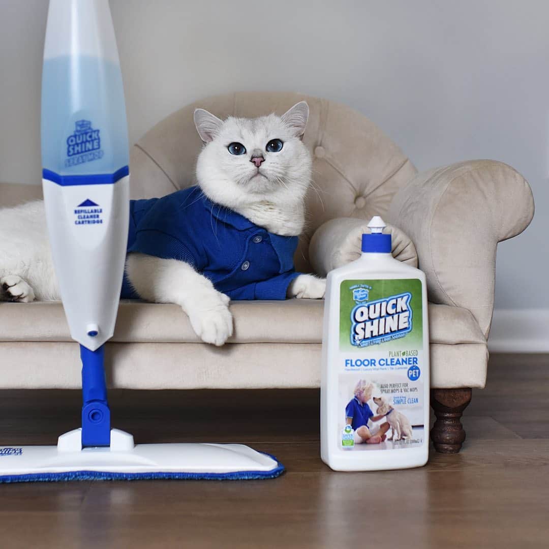 のインスタグラム：「#ad Nothing brings me more joy than watching my humans clean up after me using @quickshinefloors products. They’re plant-based, pet-safe, and strong enough to clean up the slimiest of hairballs. (The products, not my humans.) Get 20% off + free shipping + a free sustainable spray mop with any order (while supplies last) with code Coby20 #freeyourfloors #protectyourpaws」