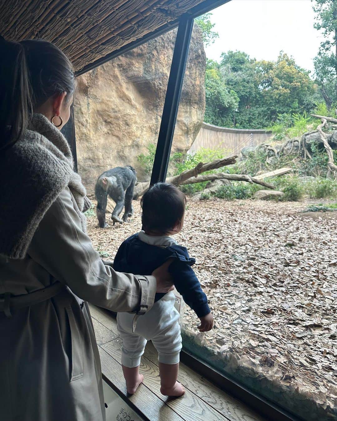 里海さんのインスタグラム写真 - (里海Instagram)「🐘🐒🐴🐗🦧🦘🦒🐆🦓🦡 たくさん 会えました😊 まだ6ヶ月なので 大人の私達のほうが 楽しんでしまいました😊 @nanao_official も 離乳食を食べさせてくれたり あやしてくれたりと 面倒たくさん見てくれました😊 ご機嫌ボーイ！！  もう少し大きくなって 動物を認識してくれたら もっと楽しそうですよね🥰 私が動物園大好きなので 子供も大好きになってほしいです🥰 ベビーカーは @babyzenjapan   #生後6ヶ月　#動物園」3月27日 20時34分 - satoumi0330