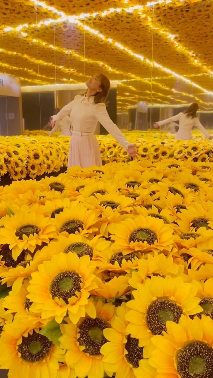 愛風ゆめのインスタグラム：「🌻🌻🌻🌻🌻   @goghalivejp  #ゴッホアライブ　#ゴッホ展」