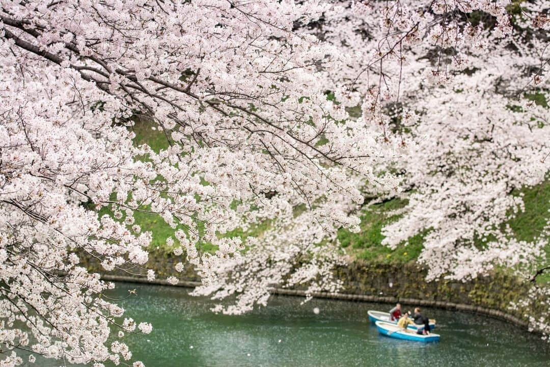 Shangri-La Hotel, Tokyoのインスタグラム