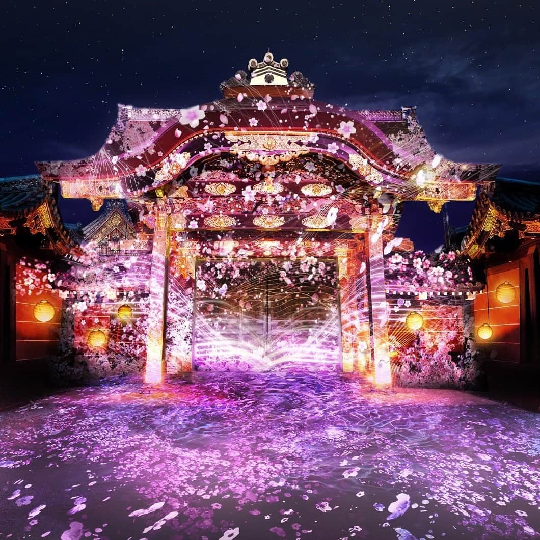 @aroma アットアロマさんのインスタグラム写真 - (@aroma アットアロマInstagram)「- ［NAKED FLOWERS 2023 桜 世界遺産・二条城］ 花の体感型アート展「NAKED FLOWERS 2023 桜 世界遺産・二条城」にて、4月15日（土）まで空間演出を行っています。 ”桜×日本の伝統文化”をテーマに、日本人の桜を愛でる様々な伝統文化がデジタルアート体験にアップデートされ、ネイキッドのために制作した数々のオリジナルアロマとともに二条城の歴史的空間を彩ります。  ［演出箇所・香り］ ■重要文化財 唐門マッピング『桜絵巻』 18 OUSAI GARDEN （オウサイガーデン） 桜の花びらが舞う中にうっとりと身をゆだねるような、 華やかでみずみずしい香り  原料：ゼラニウム、イランイラン、マンダリン、ジャスミン、クラリセージ etc.  ■内堀『DANDELION PROJECT』 16 DANDELION HILL （ダンデライオンヒル） 美しい黄昏時、追憶の糸を辿り記憶を呼び覚ますような、 懐かしく幻想的な香り  原料：四万十ヒノキ、ユズ、グレープフルーツ、青森ヒバ、パチュリetc.   ■香雲亭『春の灯（はるのひ）』 09 花蹲（ハナツクバイ） 身体の中、心まで清めてくれるような、 清涼感溢れる中にほのかに花々を感じる香り  原料：ユーカリ、スペアミント、ラベンダー、カモミール、ネロリ etc.  ■清流園『桜ライトアップ』 01 SECRET GARDEN （シークレットガーデン） 魅惑的でラグジュアリーな印象の、 甘く花々しい特別な香り  原料：ゼラニウム、イランイラン、ベルガモット、サンダルウッド、ベンゾインetc.  ■台所前庭『夜桜茶会』 12　UTAGE「桜彩」（ウタゲ「オウサイ」） 咲き誇る桜花に包まれるような、 奥ゆかしさを持った甘く妖艶な香り  原料：ジャスミン、チュベローズ、イランイラン、ベンゾイン、ミルラetc.   ニ条城ならではのデジタルアート体験、そして約50種300本もの本物の桜が織りなす幻想的な春の夜をお過ごしください。  ■開催概要 『NAKED FLOWERS 2023 桜 世界遺産・二条城』 会場：元離宮二条城 期間：2023年3月17日（金）～4月15日（土） 時間：18:00～22:00（最終入場 21:00）  photo：© naked inc.  #nakedinc #ネイキッド #ataroma #元離宮二条城」3月27日 21時00分 - ataroma_official
