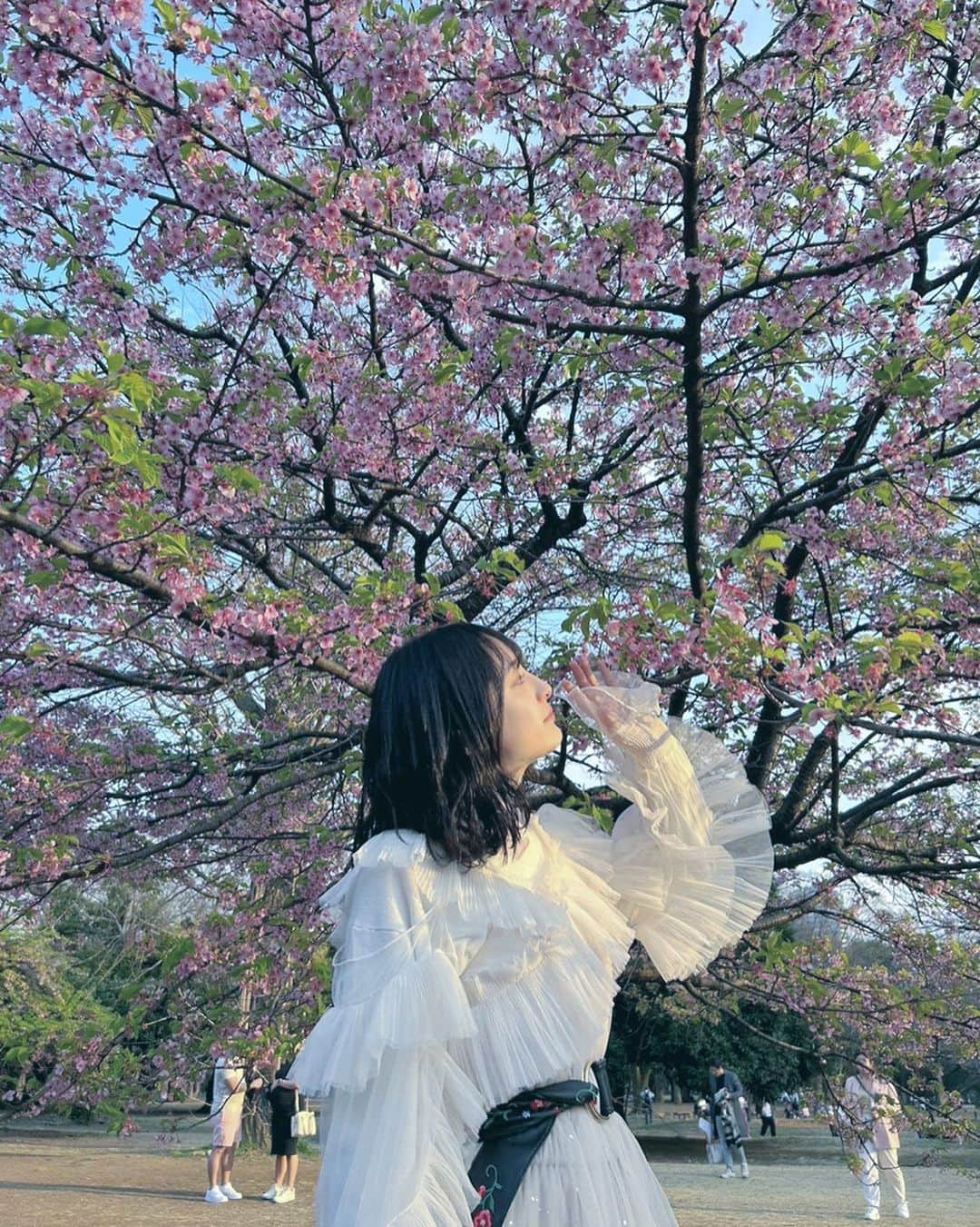 川原美咲さんのインスタグラム写真 - (川原美咲Instagram)「💐☁️🌇 ・ ・ 集合体恐怖症の方 あれやったら ごめんなさいね、笑 ・ ・ ・ ・ ・ #お花見 #お花見スポット #桃の花 #代々木公園 #ピクニック #ピクニックデート #チュールスカート #チュールスカートコーデ  #被写体モデル #被写体女子 #被写体サーチ #被写体」3月27日 21時07分 - misaki_888_sagasaikou