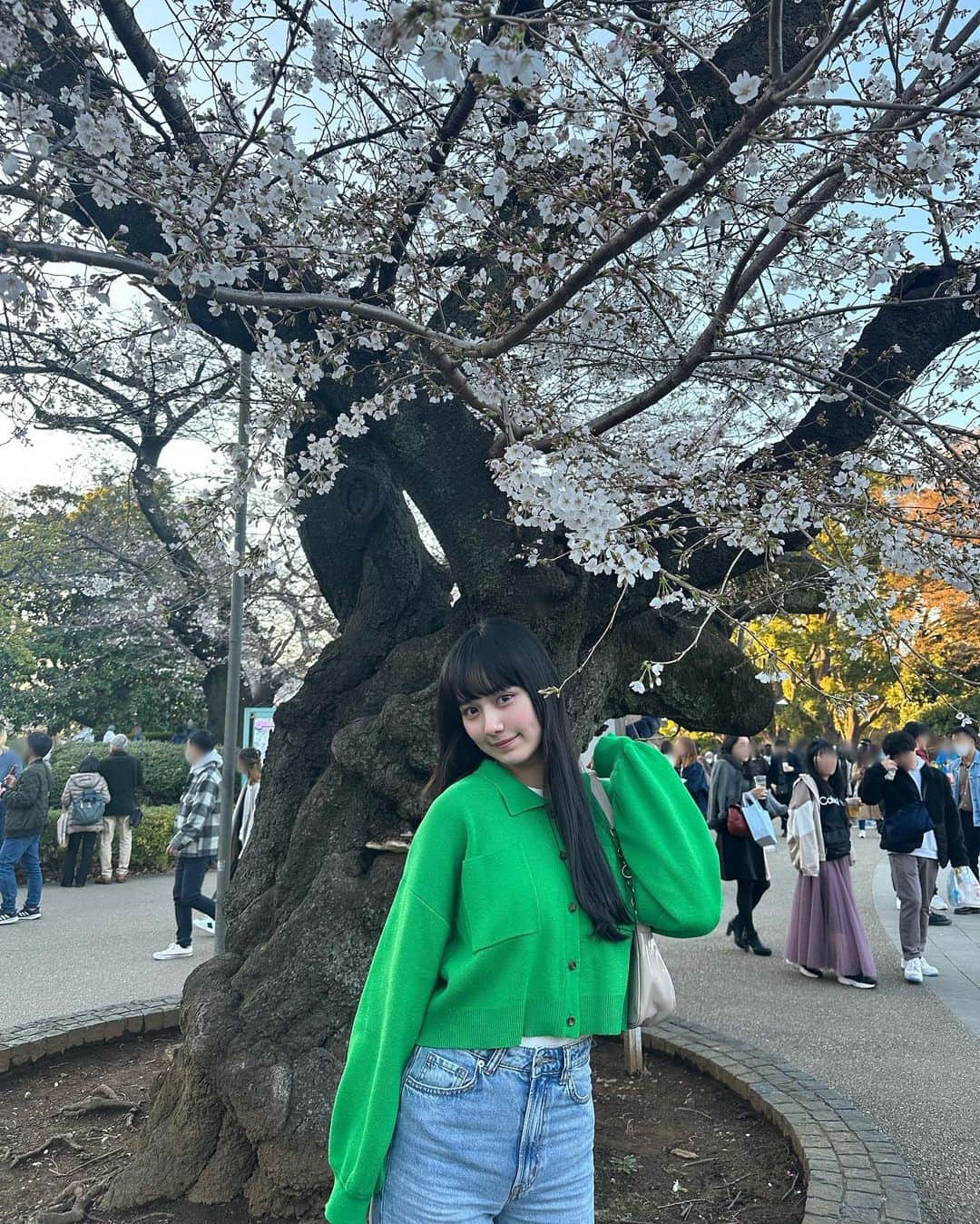 松本恵莉紗さんのインスタグラム写真 - (松本恵莉紗Instagram)「CherryBlossom🌸」3月27日 21時17分 - elisa_matsumoto