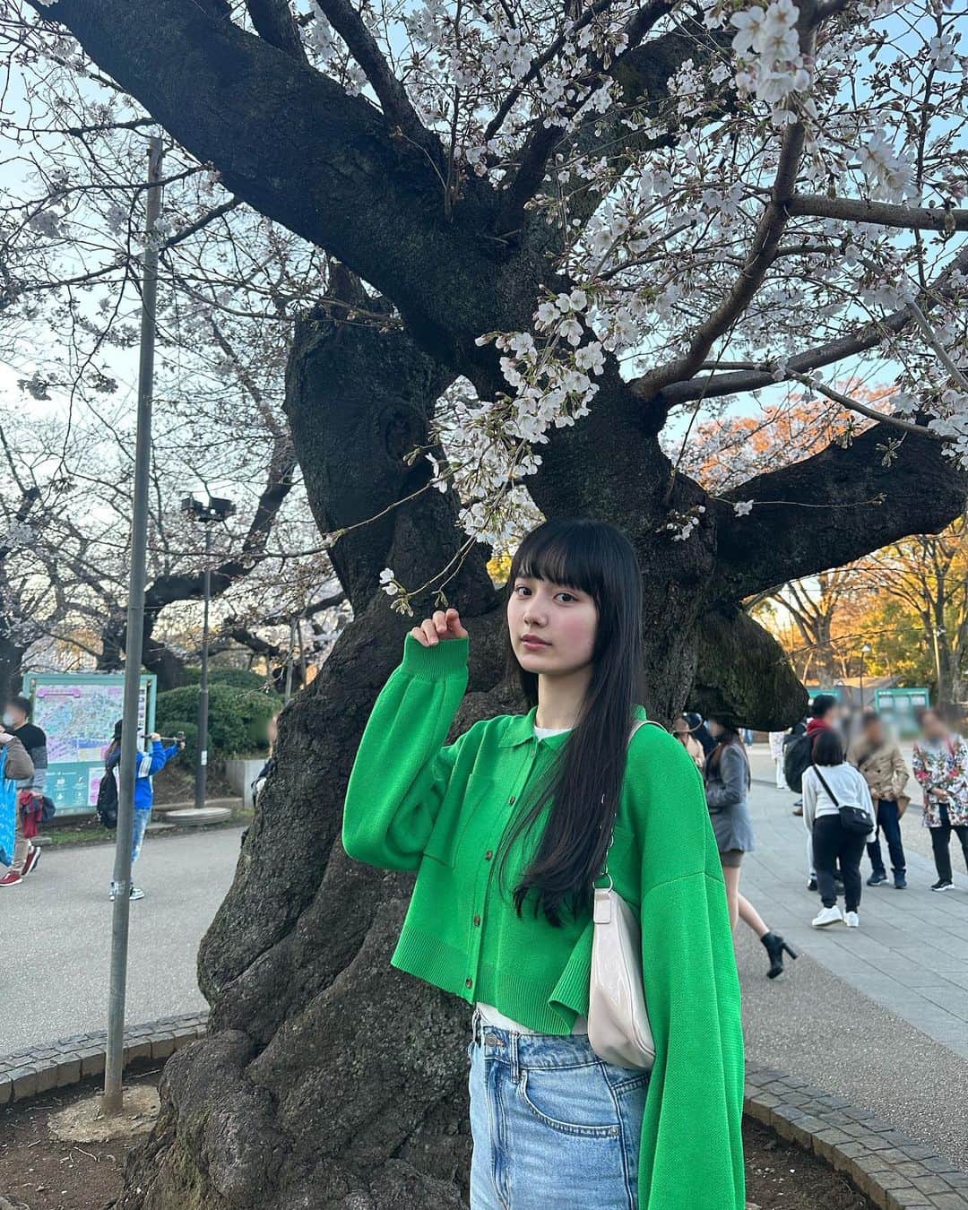 松本恵莉紗のインスタグラム：「CherryBlossom🌸」