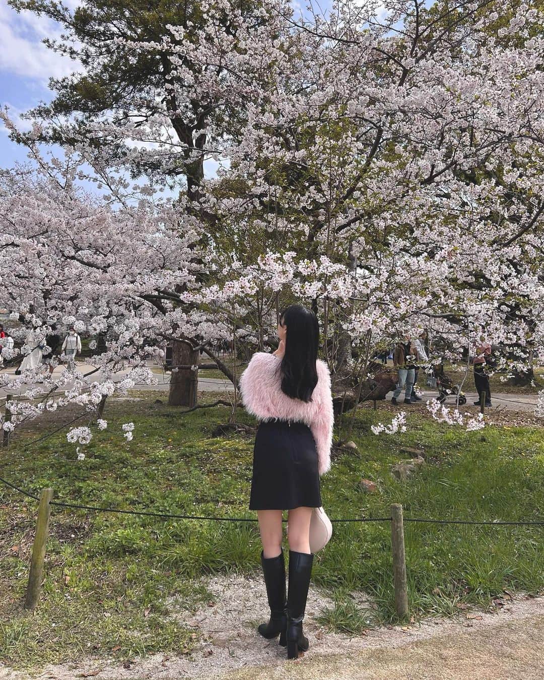 村上和叶のインスタグラム：「桜を見に行きました🌸 私たちの最終活動日に福岡の桜が満開になったみたいです…… 偶然ってすごい·͜· ︎︎   #桜 #honeybunny_vintage  #GRL #lagunamoon」