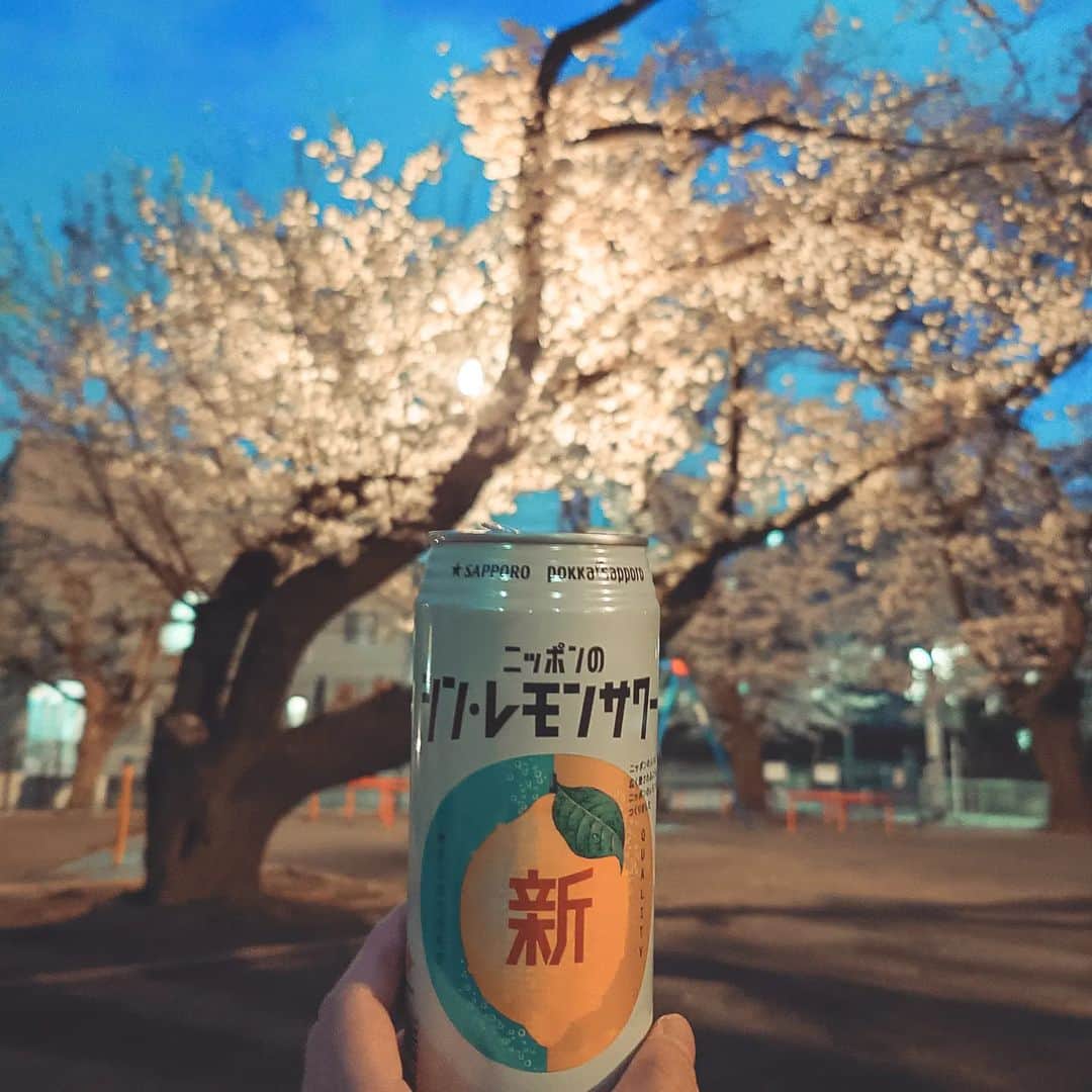 よきさんのインスタグラム：「自分でも腰を抜かしそうですが、これが2023年初投稿になるみたいです。 元々僕のプライベートアカウントのまま使用してるこのアカウントですが、仕事のことも私的なことも全然投稿してなくて不甲斐なさを感じつつも、僕らしいなぁと胸を張りつつもあります。 今年はなるたけ自分のことを発信していければなって(毎年言ってる)思ってはいます。 そんなこんなで、最近一緒にいることが多いりりぃさん @lily_sayonara 　と打ち合わせがてらお花見してきました。 お花見って言いながら二人して酒のんで好きな音楽の話してるだけだけど。 有意義の意味は人それぞれかもしれないけど僕にとってはこれが良くて、これをしたくて。 というか、桜が綺麗でちょうど街灯がいい味出してて酒が美味しかったです。」