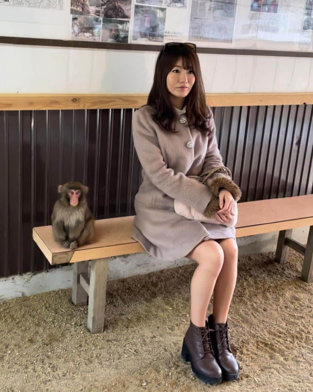 にゃんさんゴルフさんのインスタグラム写真 - (にゃんさんゴルフInstagram)「お猿さんと一緒に テレビみたり 写真撮ったり ごはんあげたよ🐒💕笑  激しめ🤣  さりげなくシカさんもいるから探してみてね🦌w  #淡路島モンキーセンター#🐒 #お猿#おさるのジョージ#小猿#ボスザル #淡路島観光#淡路島おすすめ#兵庫観光 #淡路島旅行#アワハル#また行こ淡路島西海岸 #関西旅行#国内旅行#旅行好きな人と繋がりたい  #awajishima#awajishimatrip#monkey」3月27日 21時27分 - miiiii0228