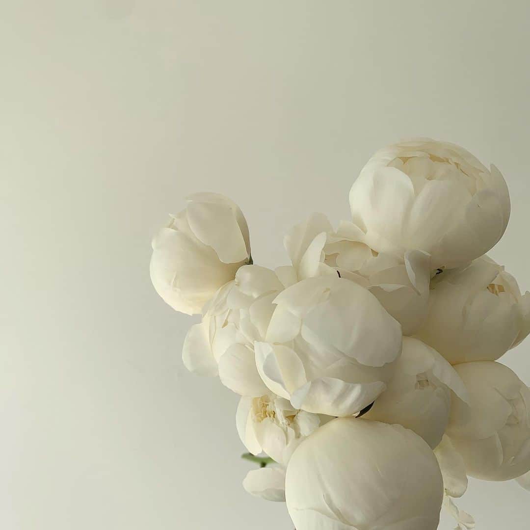 플로리스트 이주연 florist Lee Ju Yeonさんのインスタグラム写真 - (플로리스트 이주연 florist Lee Ju YeonInstagram)「. . 🤍 . #작약 #peony .」3月27日 21時35分 - vanessflower