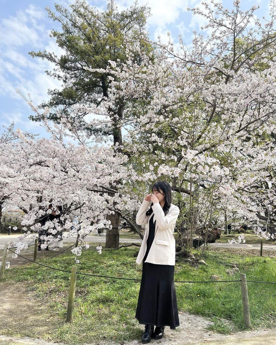 渡部愛加里のインスタグラム：「わかなと桜を見にいきました🌸 私達の最終活動日が満開だったみたいで、、、！ 今日2人で行きました☺️ 福岡に住んで5年ほど経つのですが、舞鶴公園の桜を見たのは初めてでした！ とっても綺麗だった〜！」