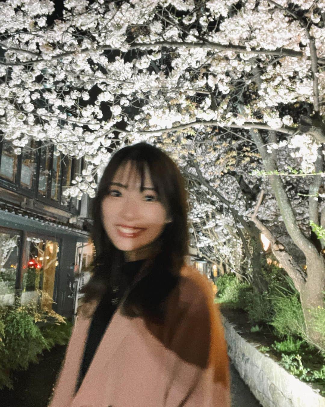 香月あやさんのインスタグラム写真 - (香月あやInstagram)「高瀬川の桜が綺麗でした🌸」3月27日 21時41分 - __aya.photo