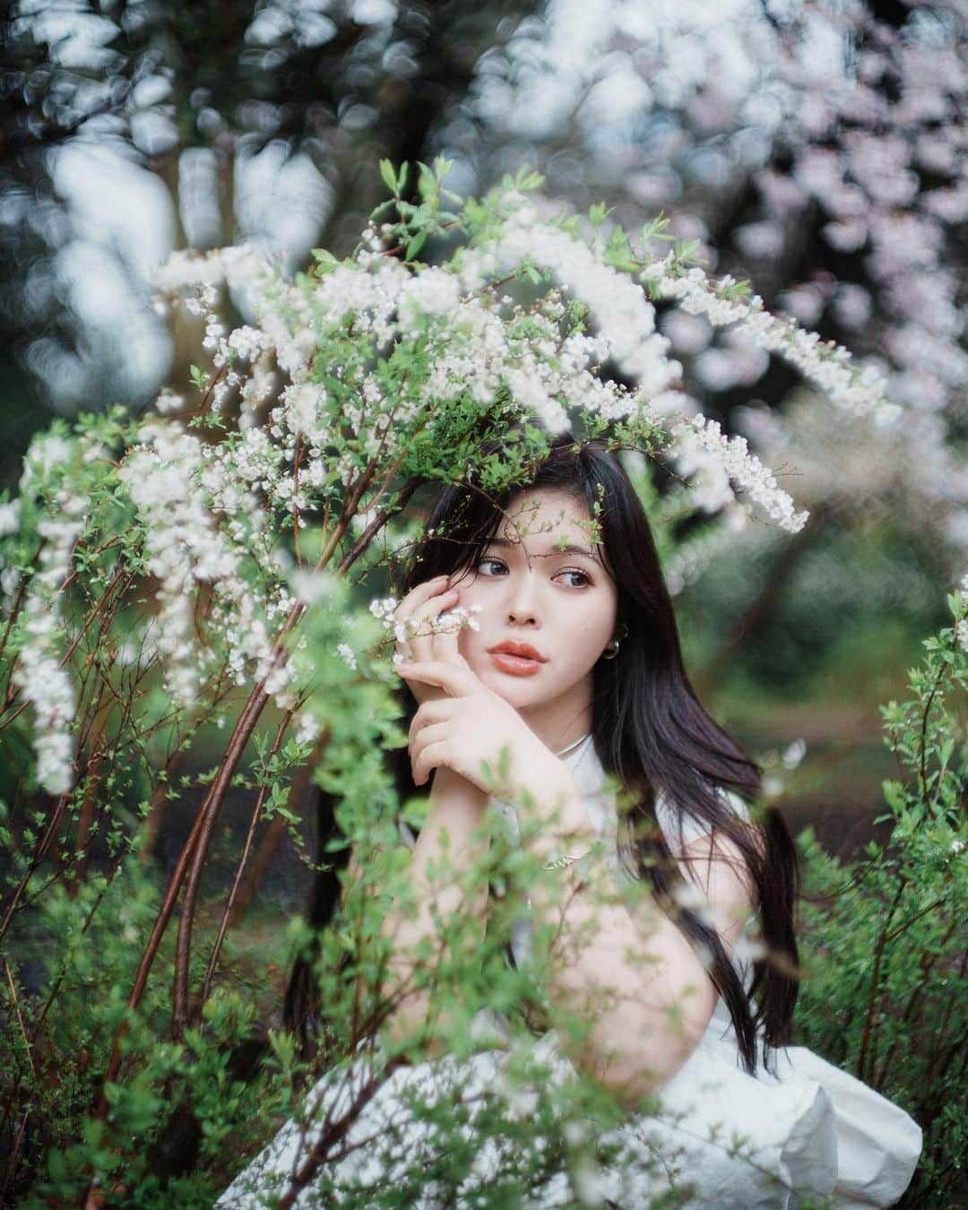 haru wagnusのインスタグラム：「Sweet Umbrella ❀ ㅤㅤㅤㅤㅤㅤㅤㅤㅤㅤㅤㅤㅤ ㅤㅤㅤㅤㅤㅤㅤㅤㅤㅤㅤㅤㅤ花が咲いている時間は短すぎるから また今度じゃなくて、今撮ろう❀ そうしたらきっと自分の中でも 新しい花が咲く気がしている☺︎ ㅤㅤㅤㅤㅤㅤㅤㅤㅤㅤㅤㅤㅤ ㅤㅤㅤㅤㅤㅤㅤㅤㅤㅤㅤㅤㅤ ㅤㅤㅤㅤㅤㅤㅤㅤㅤㅤㅤㅤㅤ #sakura #桜 #雪柳 #sonya7rv   ㅤㅤㅤㅤㅤㅤㅤㅤㅤㅤㅤㅤㅤ」