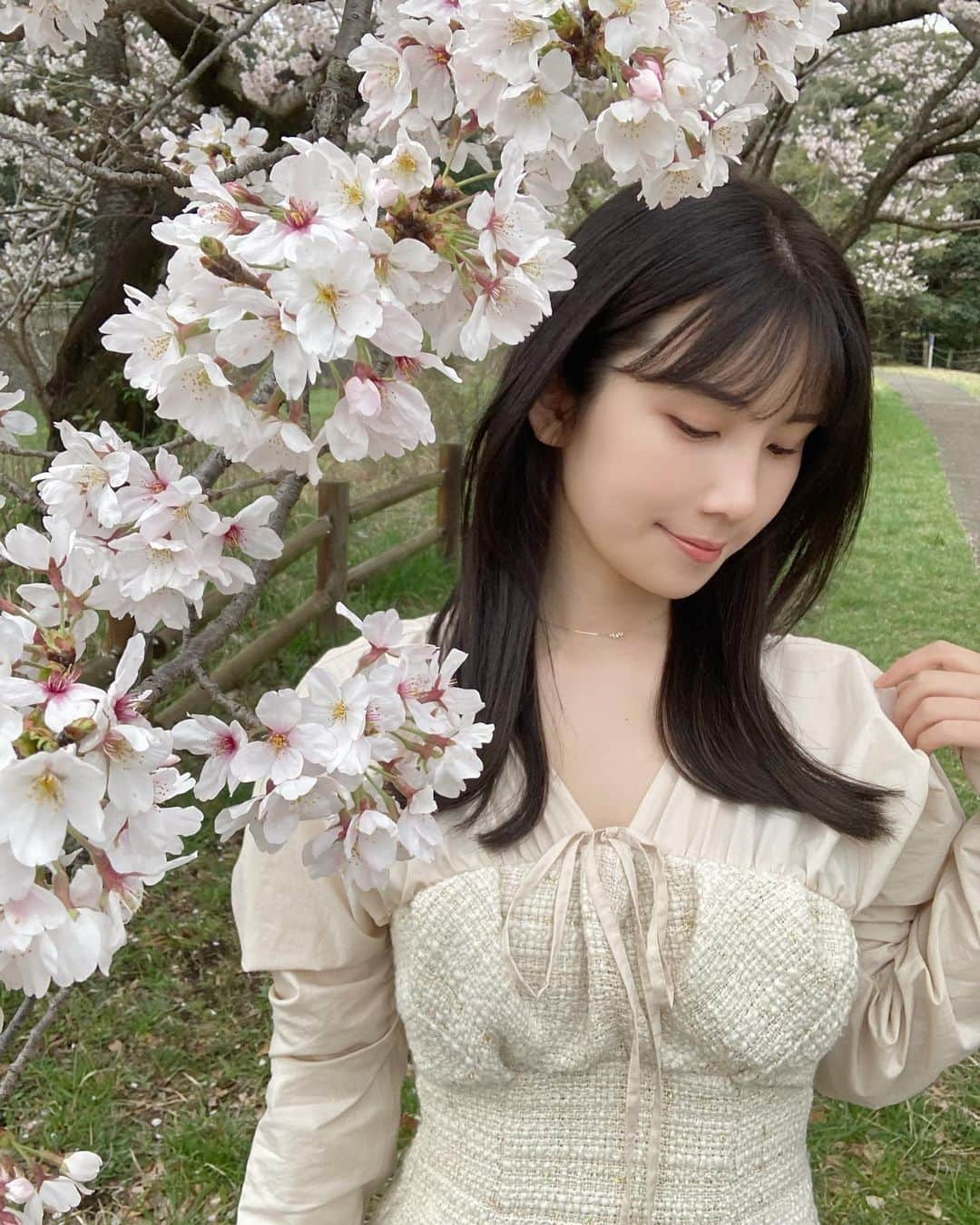 道重佐保さんのインスタグラム写真 - (道重佐保Instagram)「お花見🌸  と言ってもお散歩にちょっと見かけることが出来た程度なのですが、、、 東京はちょうど満開な所が多いですねぇ 今年はしっかり外出出来そうやからお花見しに行きたいんです！ 桜見れるスポット、おすすめあったら教えて欲しい……🥰  #ワンピース1枚で着れる季節嬉しいね🫶  #sakura#cherryblossom#桜#🌸#spring #hotasian#asianbeauty#asianbabe#blackhair#asiangirls#portrait#japanesegirl⁡#人像攝影#被写体⁡#健康美#彼女感#日本的#道重佐保#michishigesaho」3月27日 21時45分 - sahomichishige