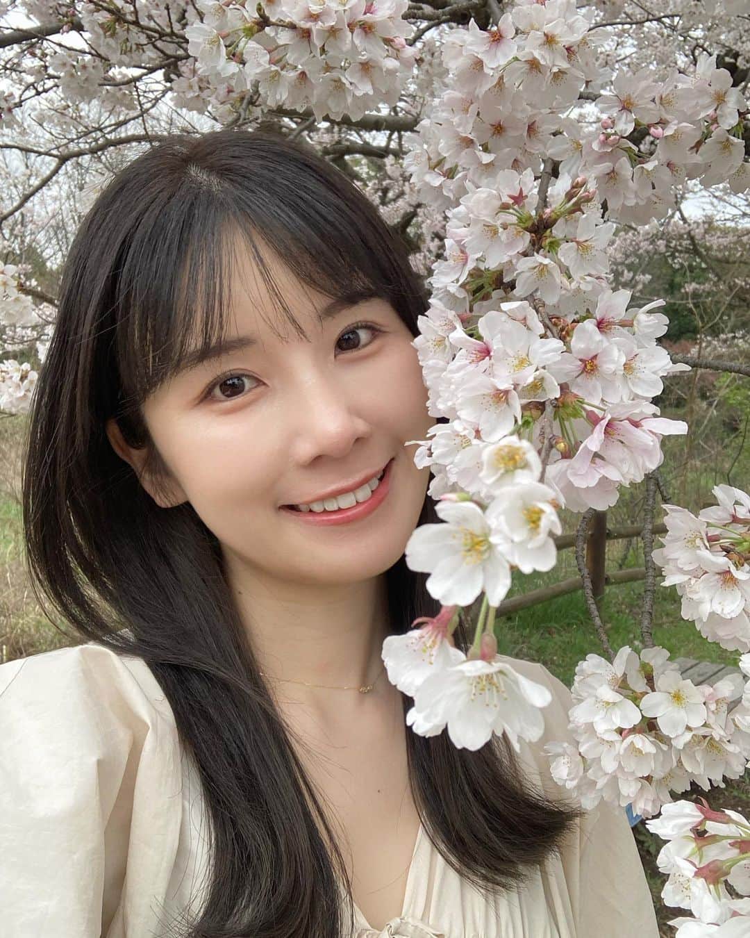 道重佐保さんのインスタグラム写真 - (道重佐保Instagram)「お花見🌸  と言ってもお散歩にちょっと見かけることが出来た程度なのですが、、、 東京はちょうど満開な所が多いですねぇ 今年はしっかり外出出来そうやからお花見しに行きたいんです！ 桜見れるスポット、おすすめあったら教えて欲しい……🥰  #ワンピース1枚で着れる季節嬉しいね🫶  #sakura#cherryblossom#桜#🌸#spring #hotasian#asianbeauty#asianbabe#blackhair#asiangirls#portrait#japanesegirl⁡#人像攝影#被写体⁡#健康美#彼女感#日本的#道重佐保#michishigesaho」3月27日 21時45分 - sahomichishige