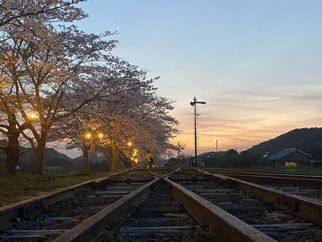 下野佐和子のインスタグラム：「#桜の季節 #桜の投稿 #鹿児島県 #永野金山 #永野金山跡 #薩摩永野駅 #薩摩永野駅跡 #廃線 #廃線跡 #スイッチバック駅 #スイッチバック #鉄道風景 #鉄道写真 #夕暮れ時の空 #自然豊か #いつかのシリーズ #鹿児島観光 #観光スポット #鹿児島県さつま町 #さつま町   【鹿児島県さつま町　薩摩永野駅跡】 2023年3月撮影 久しぶりに永野駅跡へ🚂 桜のライトアップが綺麗だと聞いて、夕暮れ時に行ってみた！ 本気のカメラ構えてる人達に混ざってスマホで撮影.....|ω･`) 桜綺麗だったなぁ〜🌸次の雨が降る前に...!お勧めスポットです👶🏻 ゾウさん滑り台は、また次の機会に投稿します🐘」