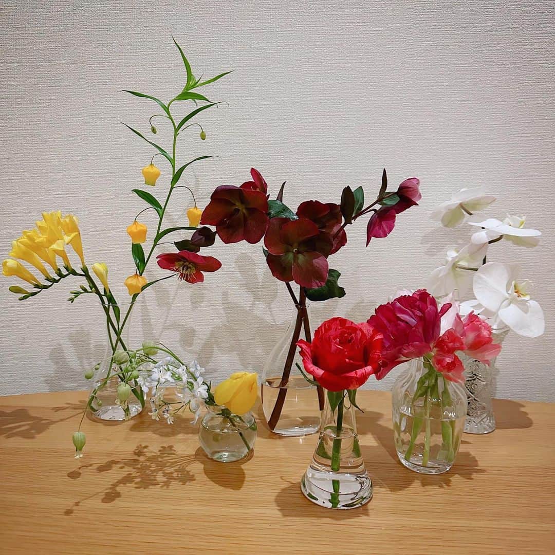 井上ほの花のインスタグラム：「🌟🐻  お花たちを机に並べてみたら可愛かった みんな違ってみんないい」