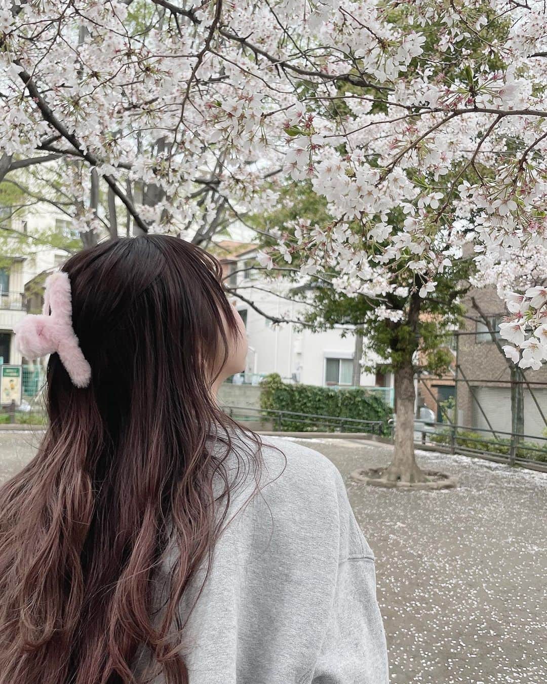 津代美月さんのインスタグラム写真 - (津代美月Instagram)「. 友達とランチした後に歩いてたら サクラ見つけた ー  散っちゃう前に夜桜も見に行きたい   #sculptor」3月27日 22時16分 - __tsushiromizuki