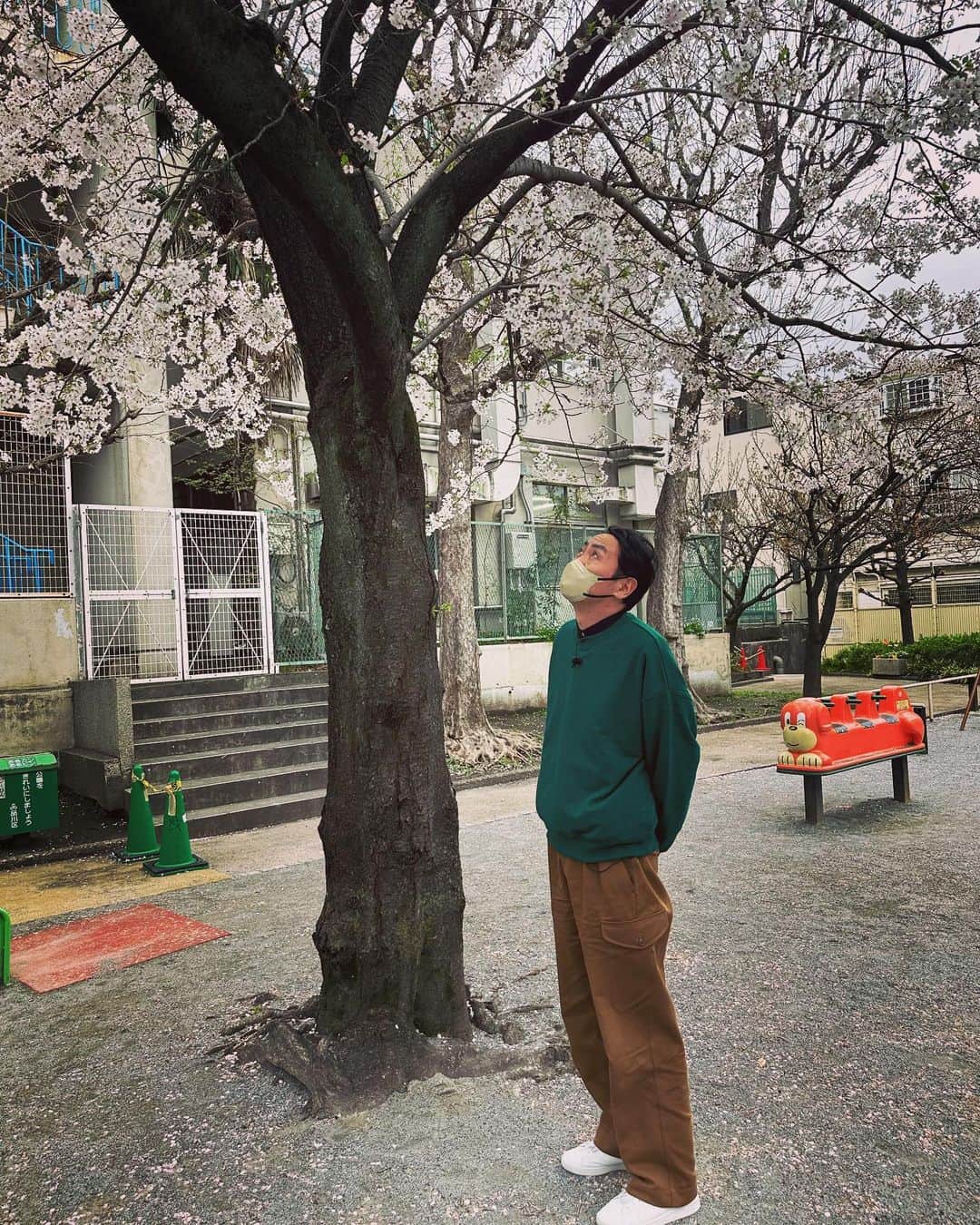 有吉弘行さんのインスタグラム写真 - (有吉弘行Instagram)「桜と枯木」3月28日 9時16分 - ariyoshihiroiki