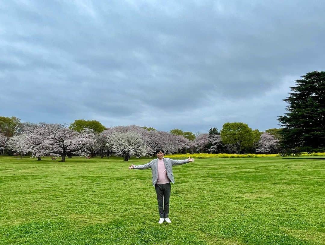 依田司さんのインスタグラム写真 - (依田司Instagram)「3月28日（火） 東京都にある国営昭和記念公園から。 園内には、全部で1500本の桜があり、ご紹介した「桜の園」には、およそ200本の桜が広々した大地に元気よく咲き誇っています。 多くが樹齢５０年以上と言われていて、一本一本の桜が立派なのが特徴です。 広い園内を気持ちよく散策できますが、ちょっと疲れたらベンチでゆっくり、のんびり桜を楽しめますよ。巨大な鏡に映し出された逆さザクラは、映えスポット間違いなしですね。  #国営昭和記念公園 #DoCLASSE #ドゥクラッセ #依田さん #依田司 #お天気検定 #テレビ朝日 #グッドモーニング #サタデーステーション #気象予報士 #お天気キャスター #森林インストラクター #グリーンセイバーアドバンス #プロジェクトワイルド #IPCC伝導者 #japan #japantrip #japantravel #unknownjapan #japanAdvenそture #japanlife #lifeinjapan #instagramjapan #instajapan #療癒 #ilovejapan #weather #weathercaster #weatherforecast」3月28日 8時46分 - tsukasa_yoda