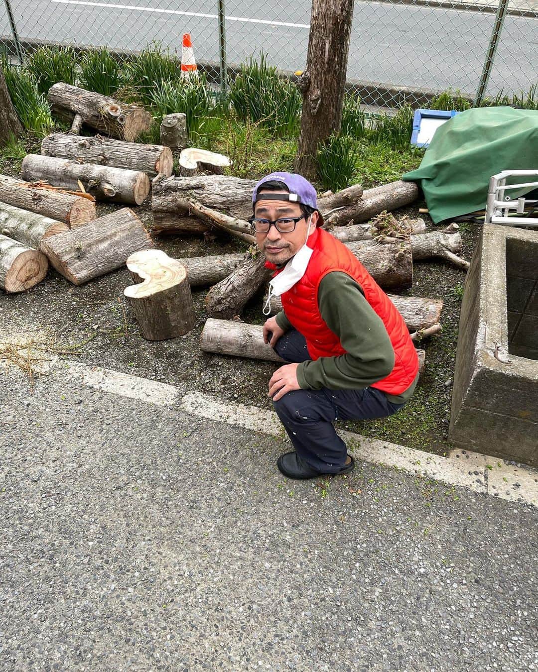 Mr.のインスタグラム：「近所ででかい木を造園屋さんが切っていたので、聞いたらいただけるとのことで、そこそこいただきました。ありがとうございます！ 最近、熱で2回くらいぶっ倒れましたが回復して来ました。冷たい雨が降り注ぐ関東地方、桜が咲いてますね🌸いいですね。まだまだ寒い感じですが、皆様どうか暖かくお過ごしください♪」