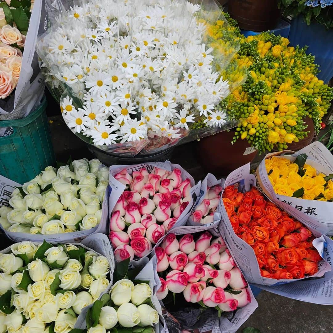 ホン・ウニさんのインスタグラム写真 - (ホン・ウニInstagram)「아침부터 #꽃시장」3月28日 8時50分 - pinkeh2015