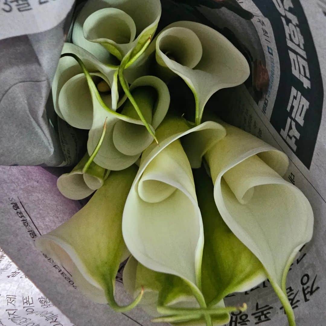 ホン・ウニのインスタグラム：「아침부터 #꽃시장」