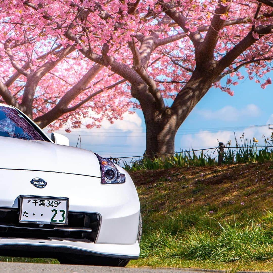 Nissanさんのインスタグラム写真 - (NissanInstagram)「There’s nothing quite like spring in Japan! Thank you @shinya.z34 for sharing these beautiful Sakura moments with your #NissanZ! #MyNissanAdventure #Nissan #Z34」3月28日 1時13分 - nissan