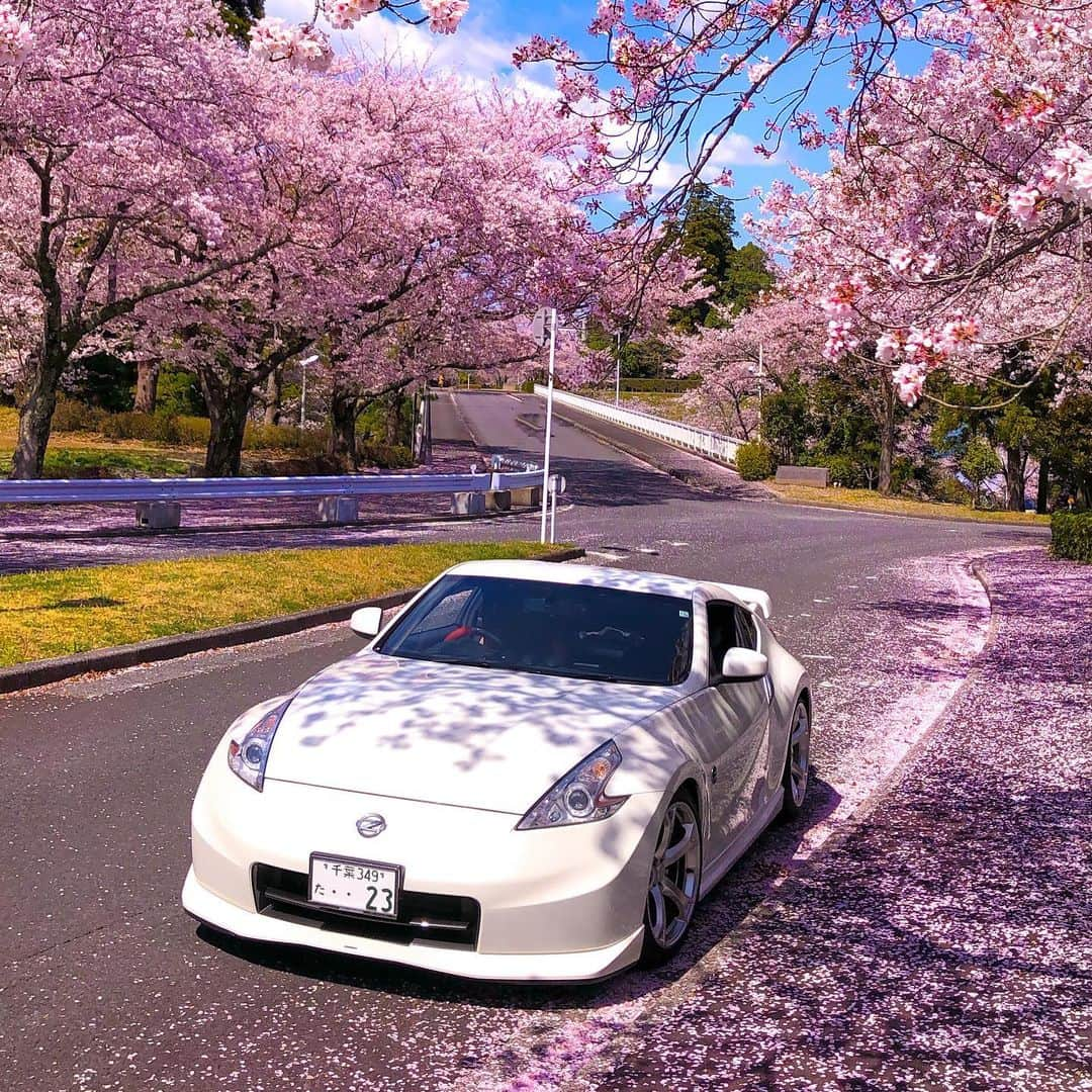 Nissanさんのインスタグラム写真 - (NissanInstagram)「There’s nothing quite like spring in Japan! Thank you @shinya.z34 for sharing these beautiful Sakura moments with your #NissanZ! #MyNissanAdventure #Nissan #Z34」3月28日 1時13分 - nissan