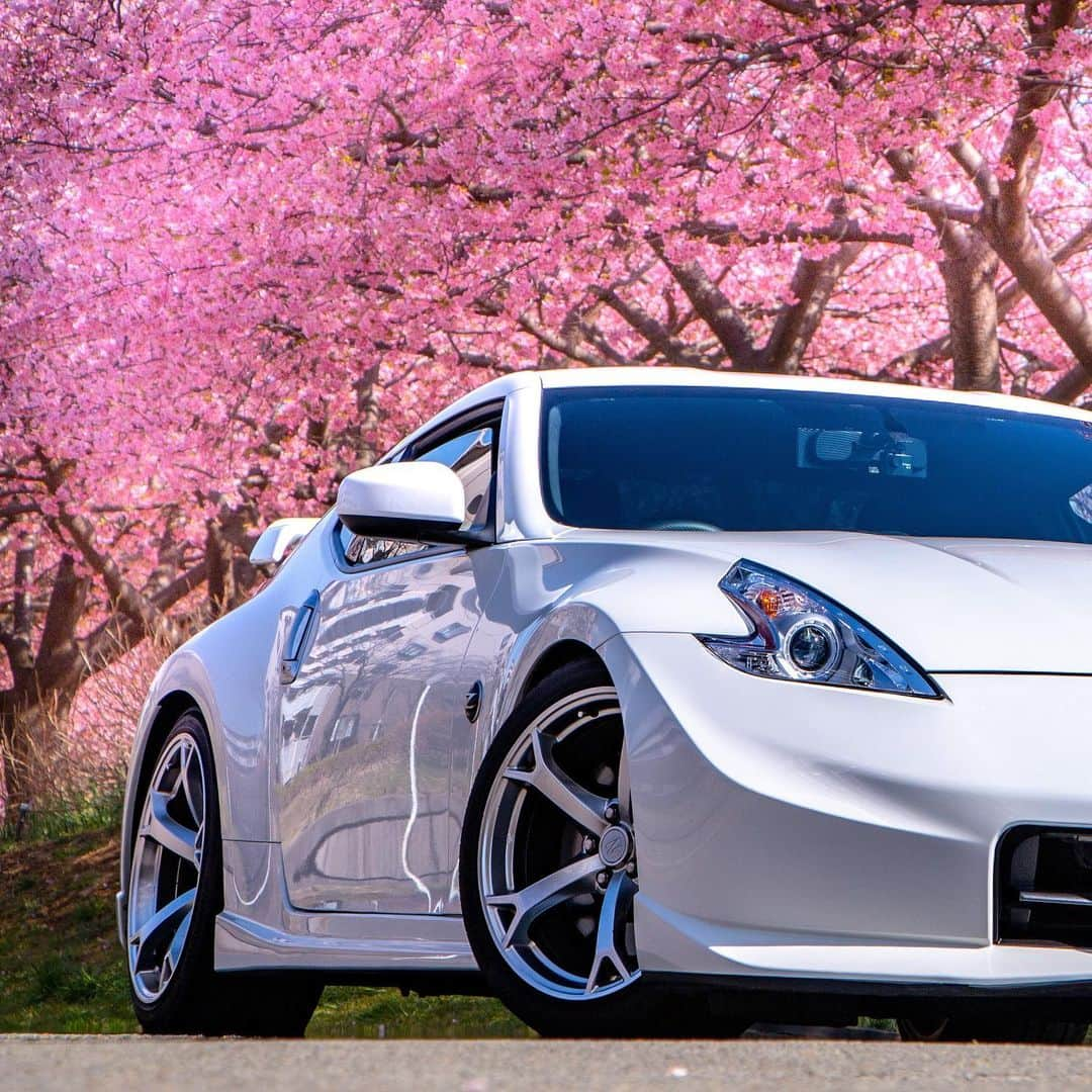 Nissanさんのインスタグラム写真 - (NissanInstagram)「There’s nothing quite like spring in Japan! Thank you @shinya.z34 for sharing these beautiful Sakura moments with your #NissanZ! #MyNissanAdventure #Nissan #Z34」3月28日 1時13分 - nissan