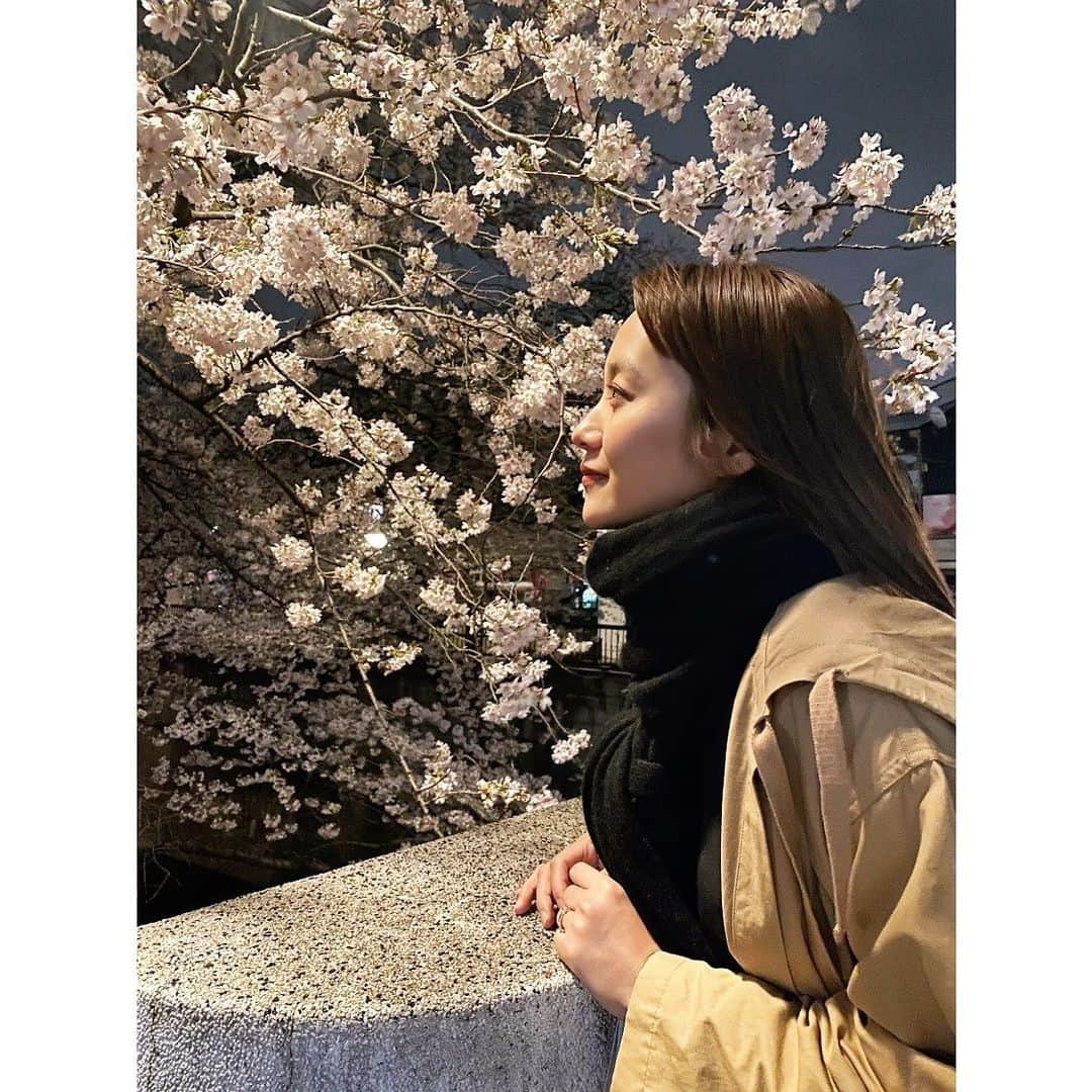 真下玲奈さんのインスタグラム写真 - (真下玲奈Instagram)「桜が好きすぎて、 またもや桜の投稿🌸  最近またもや発見がありました💡  去年は勉強しないと 遊びに行っちゃだめ！  友達に会ったり、 出かける事に罪悪感を感じていて 仕事、お稽古、レッスンばかりだったのだけど  思いっきり遊んで楽しんで 友達や仲間と会ったりすると 振り子のように仕事も ぐーんと良くなるんだなと実感。  家をボードゲーム家にしたい欲が高まってます。やっぱりSwitchも欲しいな。 映画見て寝よおっと！  さ、自分を磨くぞ！  #おやすみなさい #真下玲奈 #桜散歩 #雨よ降らないで  #桜の季節 #さくら」3月28日 1時41分 - r.mashitaaa.221