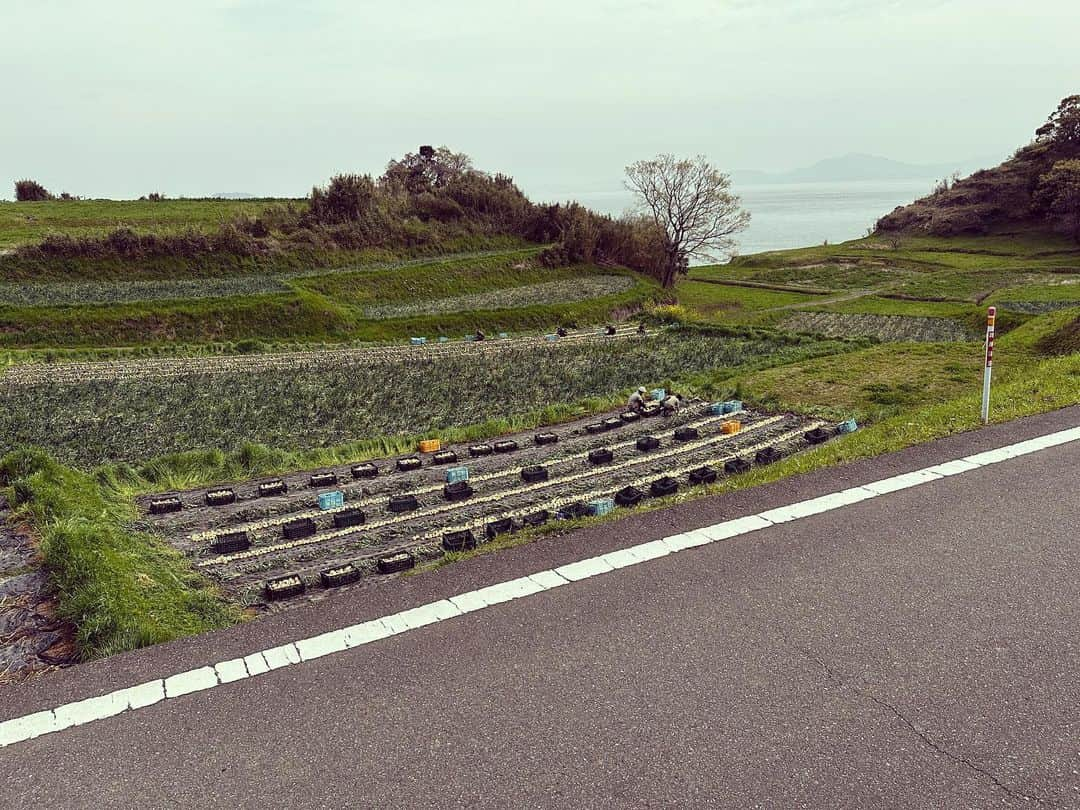 japantripさんのインスタグラム写真 - (japantripInstagram)「桜が🌸少し、咲き始めてました。 #原城跡  #南島原情報局  #南島原市 #worldheritage  #世界が認めた原城跡  #長崎  #長崎観光」3月28日 9時21分 - japanculturalheritage