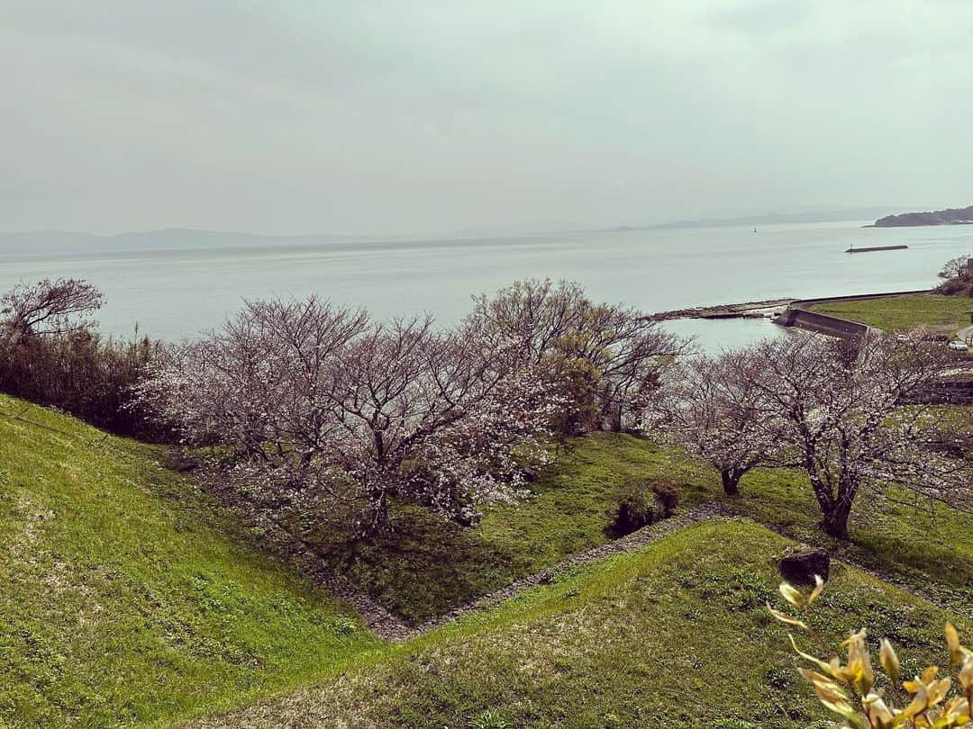japantripさんのインスタグラム写真 - (japantripInstagram)「桜が🌸少し、咲き始めてました。 #原城跡  #南島原情報局  #南島原市 #worldheritage  #世界が認めた原城跡  #長崎  #長崎観光」3月28日 9時21分 - japanculturalheritage