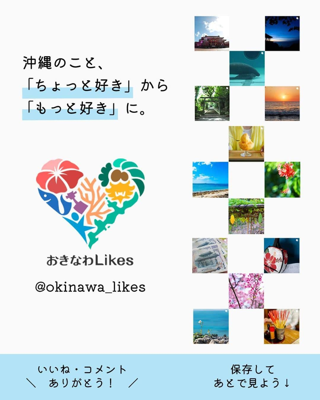 おきなわLikesさんのインスタグラム写真 - (おきなわLikesInstagram)「⁡ #東村 #サキシマスオウノキ ⁡ 西表島や石垣島の群生地で有名なサキシマスオウノキですが、沖縄本島東村でも見ることができます。 ⁡ 切り立った大きな根(板根)が迫力ありますね〜！大きなものだと2-3mくらいの高さになるものもあるらしい。 サキシマスオウノキの生育する湿地帯は泥底なのでしっかり根をはれる土壌が浅いのだそう。そこで大きな幹を支えるために、こんな立派な根になっているんだそうですよ👀 ⁡ ✜ 𖣯 ✜ 𖣯 ✜ 𖣯 ✜ 𖣯 ✜ 𖣯 ✜ 𖣯 ✜ 𖣯 ✜ 𖣯 ✜ ⁡ 沖縄のこと、「ちょっと好き」から「もっと好き」に。   フォローしてね🌺 @okinawa_likes ⁡ ✜ 𖣯 ✜ 𖣯 ✜ 𖣯 ✜ 𖣯 ✜ 𖣯 ✜ 𖣯 ✜ 𖣯 ✜ 𖣯 ✜   #おきなわLikes #沖縄 #沖縄観光 #沖縄旅行 #沖縄好きな人とつながりたい #okinawa #東村 #沖縄ドライブ #東村指定天然記念物」3月28日 21時00分 - okinawa_likes