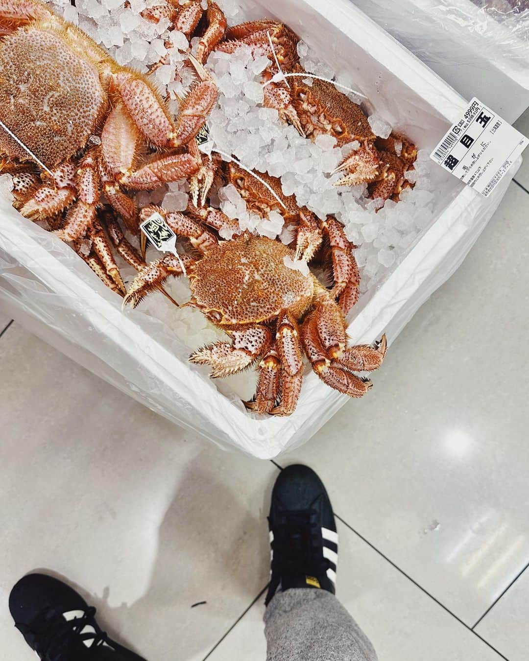 東京DANDYのインスタグラム：「最近、東京で - some happenings. At the local Ozeki, a crafty crab attempted to escape its icy grave. Sometimes I think of resuing one to have a new friend and companion, but I buy a bento instead. While remaining fully operational, the demolition of Shibuya station continues. An amazing feat of engineering missed by busy commuters, most still wearing masks, busy with their busy lives. Awich put in an epic performance at the iconic Ryogoku Kokugikan Sumo Arena. A really famous American rapper also appeared, but I guess he was shy or forgot his words because he just said 'Hi Tokyo' and ran away. The Garden Terrace opened up for Spring at the Tokyo EDITION, Toranomon. The sky looked like an impending alien invasion. Or the last scene from the previous episode of Extrapolations on Apple TV (which I enjoy despite bad reviews). Joe picked up a beautiful jacket from Acne in Aoyama, and I got a Madagascan custard Taiyaki on the way home. That's all for now.」