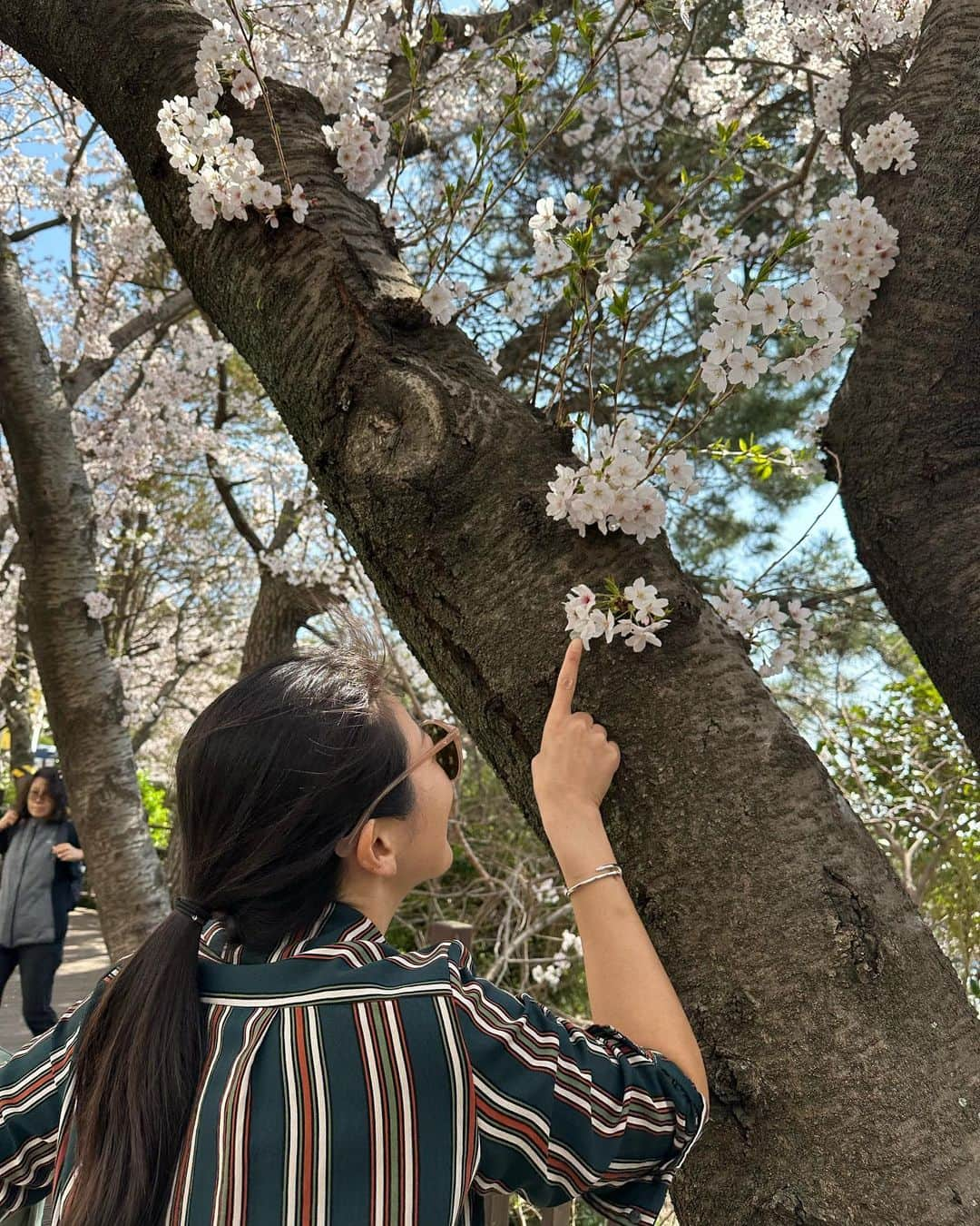 ハー・ミジョンさんのインスタグラム写真 - (ハー・ミジョンInstagram)「오늘 벚꽃 너무 이뻤다🌸 #달맞이길 #벚꽃구경」3月28日 17時59分 - mi_jung1205