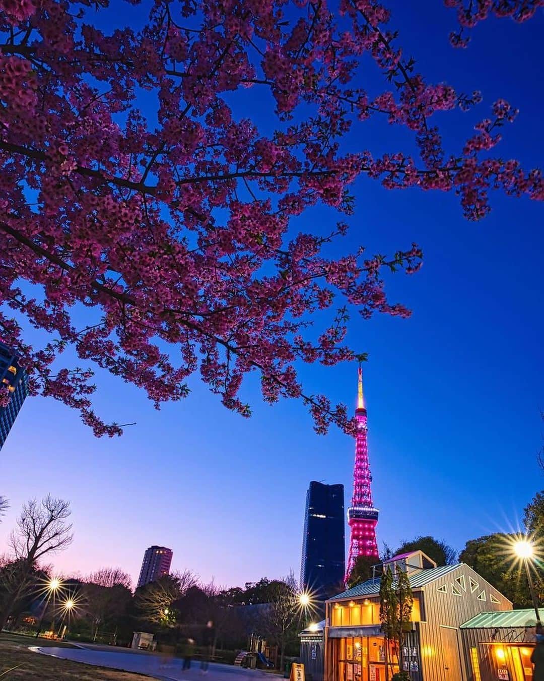 東京タワーさんのインスタグラム写真 - (東京タワーInstagram)「. 3月はスペシャルライトアップも多く Your Tokyo Tower🗼に 素敵なお写真がたくさん投稿されていたので まだご紹介できていないお写真をご紹介する プレイバック東京タワー！！   本日は、GUCCI HANAMI特別ライトアップのお写真を！   グッチを象徴するカラーである 緑と赤のライトアップと 桜色のライトアップを 約7分半毎に、交互に点灯しましたが、   そんなライトアップの移り変わりを、 様々な角度から撮影頂いたお写真です！   @terataka11 さん 素敵なお写真をありがとうございました😊   --------------------------------  【 お知らせ 】  # your_tokyotowerで あなたの東京タワー🗼をリポスト！  皆様からの投稿どしどしお待ちしております！ （@tokyotower_official のタグ付けもよろしくね🖐）  詳細はプロフィールにある 固定されたフィード投稿から↓ @tokyotower_official  --------------------------------  #東京タワー #東京タワー🗼 #tokyotower #tokyotower🗼  #ライトアップ #lightup」3月28日 18時09分 - tokyotower_official