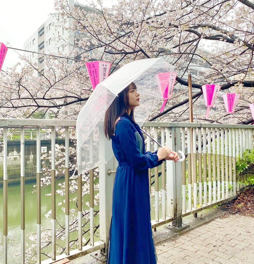 柿澤ゆりあさんのインスタグラム写真 - (柿澤ゆりあInstagram)「⁡ ⁡ 桜を見に行ってきました🌸 ⁡ 生憎の雨だったけど満開でとても綺麗！ ⁡ ⁡ ⁡ #桜  #🌸」3月28日 18時11分 - yuria_kakizawa_403