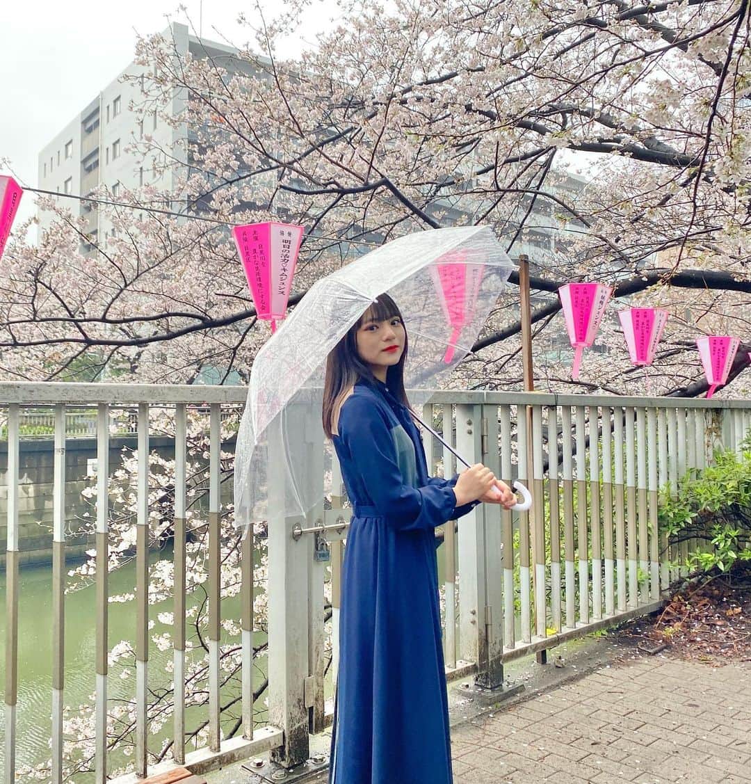 柿澤ゆりあのインスタグラム：「⁡ ⁡ 桜を見に行ってきました🌸 ⁡ 生憎の雨だったけど満開でとても綺麗！ ⁡ ⁡ ⁡ #桜  #🌸」