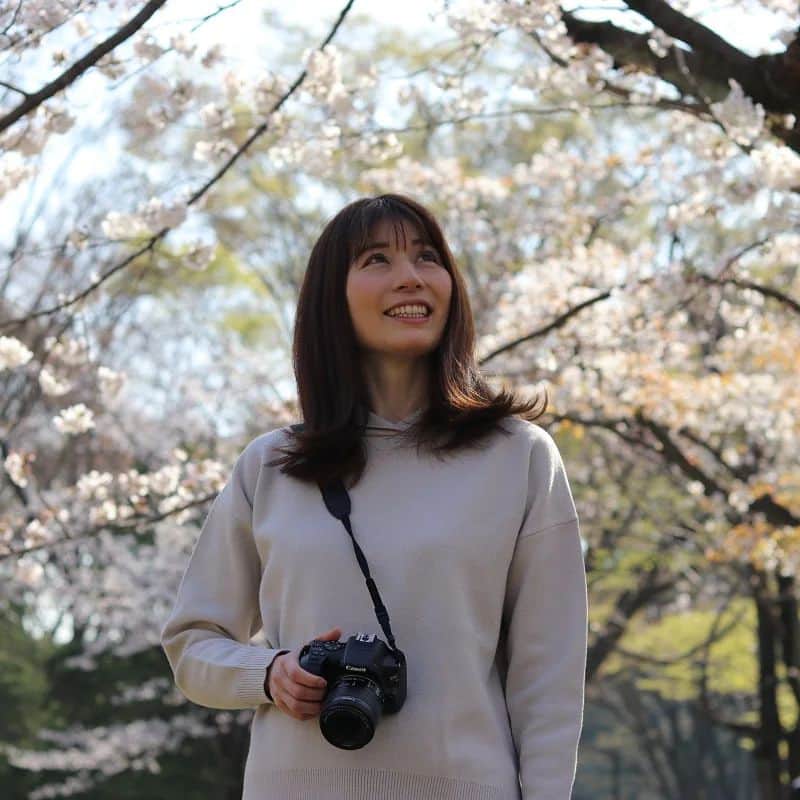 千種ゆり子のインスタグラム：「顔をあげて . . . #sakura  #気象予報士  #カメラ好きな人と繋がりたい  photo by @yota1029」