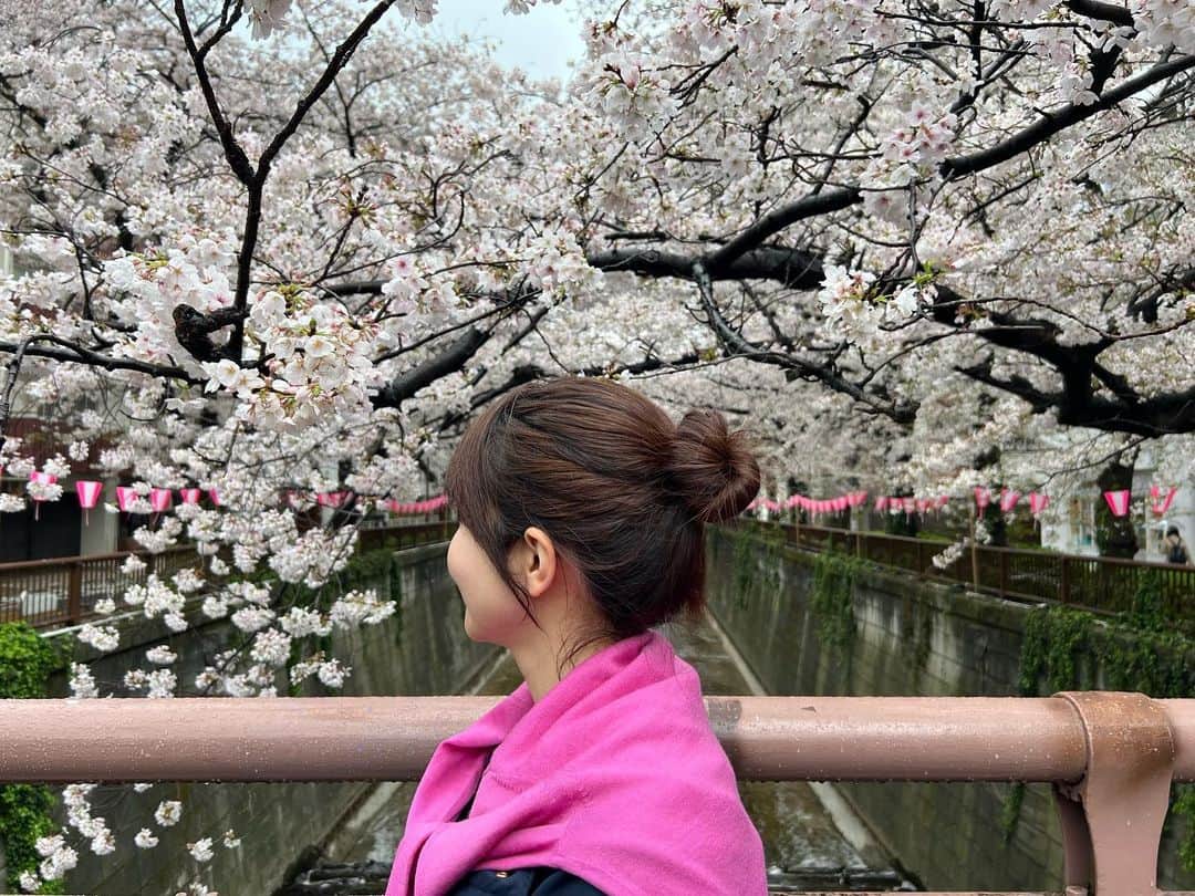 多胡安那さんのインスタグラム写真 - (多胡安那Instagram)「毎年恒例の早朝お花見🌸 今年も朝6時台から楽しんできました。 「花には団子」なので、お団子ヘアに。  #気象予報士 #桜シーズン #お花見 #目黒川 #目黒川の桜 #目黒川は見頃 #早朝花見 #早朝花見も今年で13年目 #お花見は空いている早朝一択 #お団子ヘア #花には団子 #花冷えで寒すぎ」3月28日 9時50分 - tagoanna