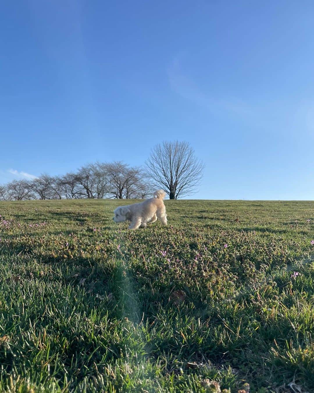 佐藤真瑚のグルメインスタ