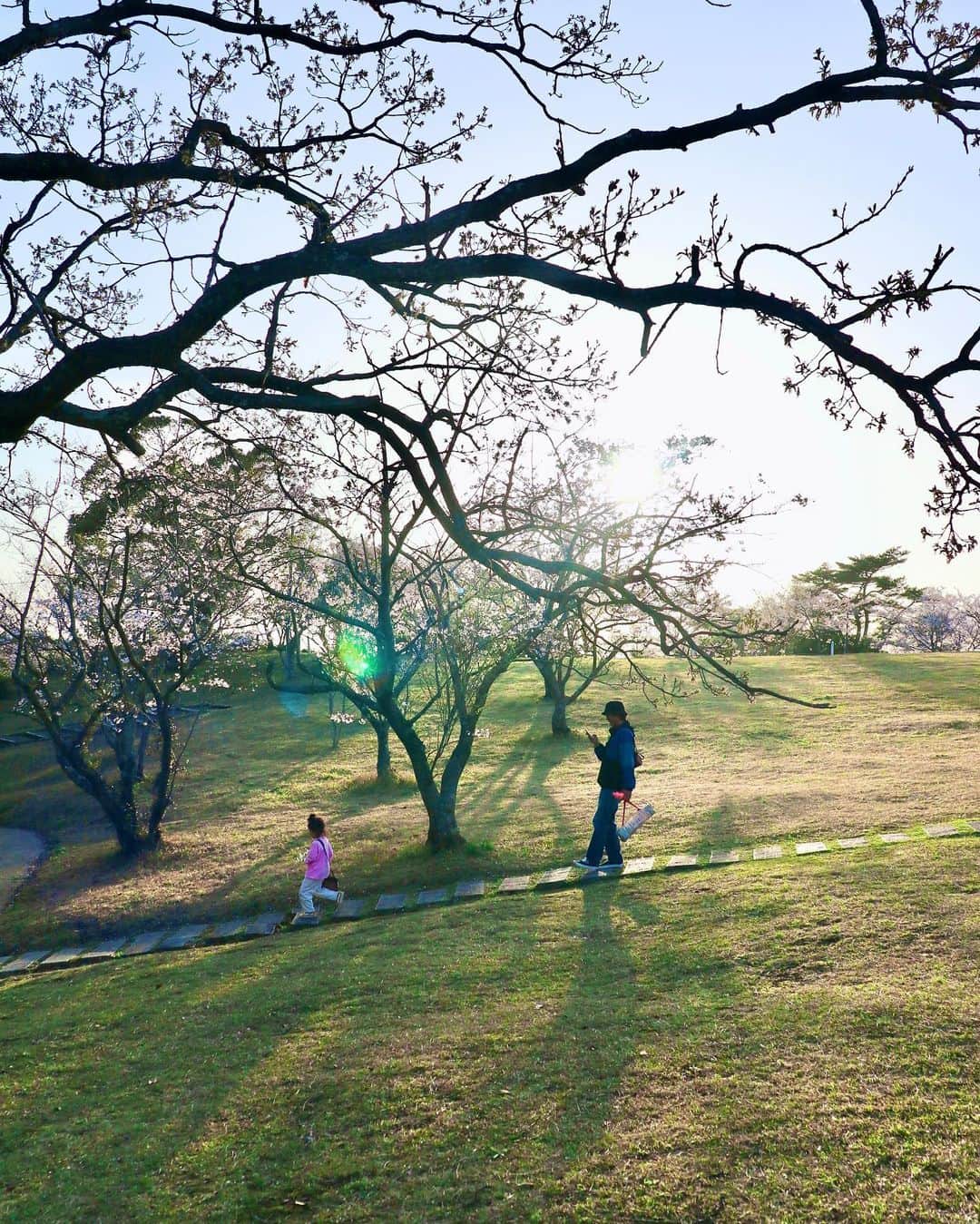 村上萌さんのインスタグラム写真 - (村上萌Instagram)「夕方16時に突然の晴れ間、コーヒーとドーナッツ、それからシートさえあればお花見はできる…！と、カジュアルに高原へ🐎なにごとも、おおごとにしすぎないのが良さそう。   #春の目線」3月28日 10時49分 - moemurakami_