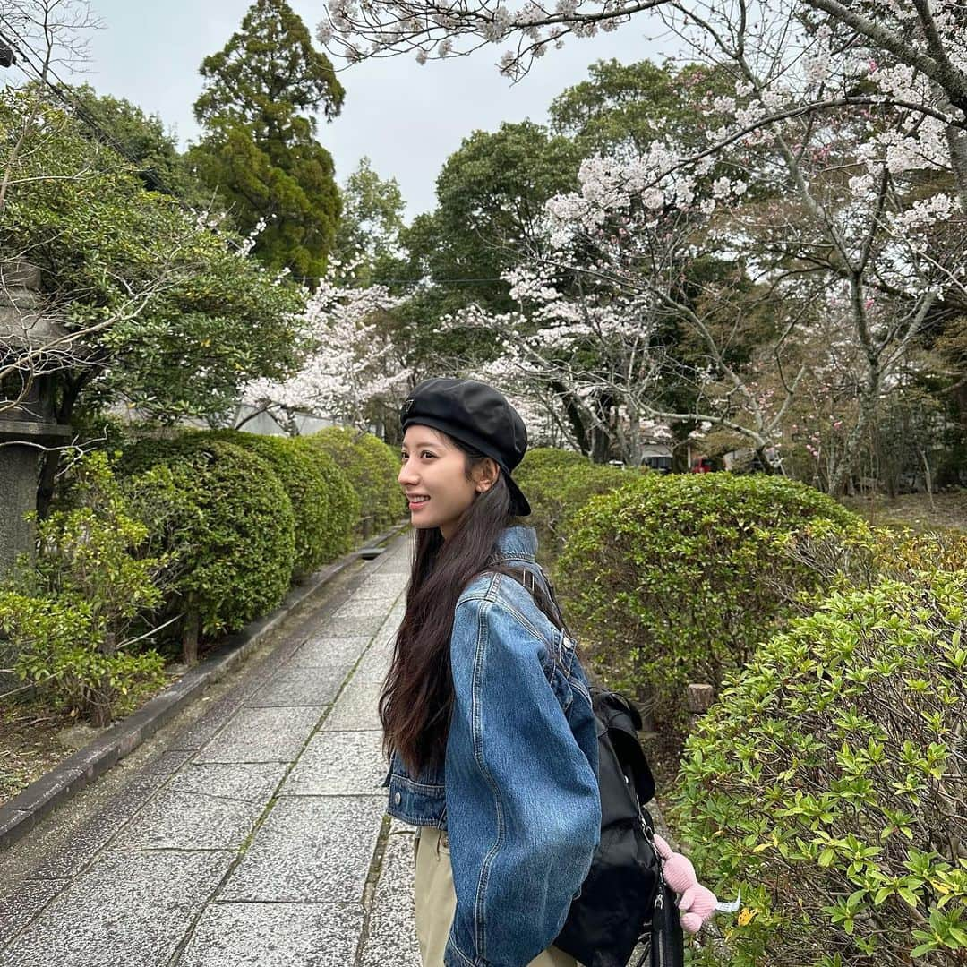 ボナさんのインスタグラム写真 - (ボナInstagram)「드디어 만난 교토의 봄🌸」3月28日 11時04分 - bn_95819