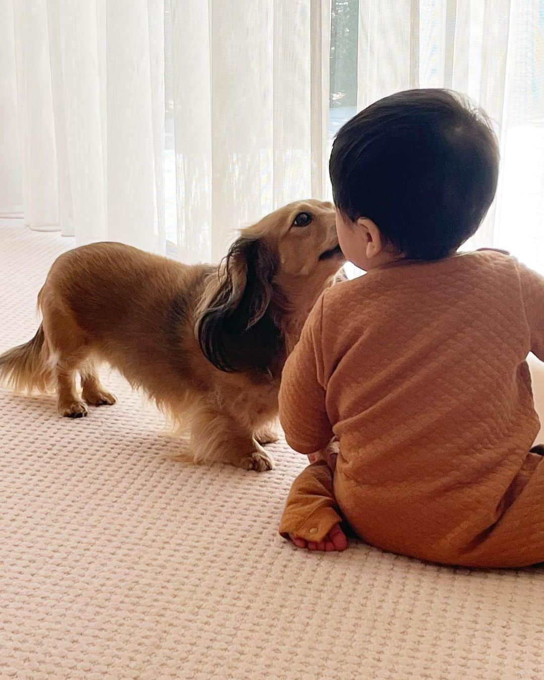 豊田麻子のインスタグラム：「🐶💓👶」