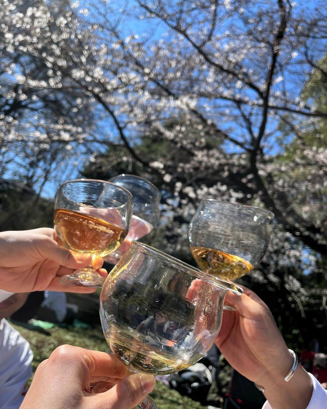 太田彩乃さんのインスタグラム写真 - (太田彩乃Instagram)「やっと満開🌸と思ってもお天気がなんだかなぁーで、今年も桜の季節はやっぱり一瞬。 子供が生まれてからは、より毎日の一瞬が儚くて大事なものなんだと痛感してます。  今年は由奈ファミリーと、お気に入りのグラス🥂持って集合✨ 前日から楽しみすぎて桜パウンドケーキ焼いて、朝はお赤飯稲荷作って（花より食べ物のことで頭いっぱい。笑）ノンアルでも酔えるんじゃ無いかってほど楽しかった🤣  葉桜になりつつある桜も好きだけど、また来年の桜も楽しみだな♥️ . . #お花見 #桜 #お気に入りのグラス」3月28日 11時59分 - ayano.ohta