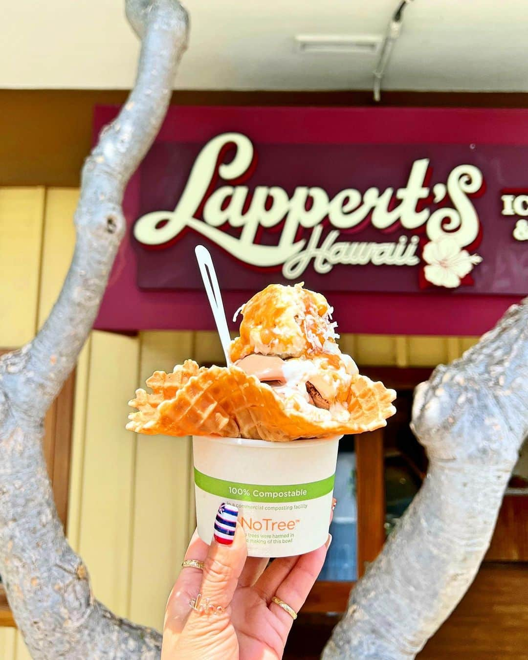 shihoのインスタグラム：「♥️🍨♥️🍨♥️ ・ 📍Lappert's Hawaii ・ カウアイ島生まれの自家製アイスクリーム 『ラパーツハワイ』 ここのアイスが大すき♡ 濃厚なアイスにワッフルコーン。 このワッフルコーンが また忘れられない美味しさなの♡ ・ ワッフルコーンを作っているところも 素敵なパフォーマンスを見せてくれて 見応えたっぷり♡ ・ 毎週金曜日、 花火の前に必ず食べるアイスも 楽しみの一つ♡ ・ #hawaii#islandofoahu#oahu#ハワイ#trip #オアフ島#travel#loco_hawaii#travel_jp #funtorip#タビジョ#旅MUSE#genic_travel #genic_mag#たびねす#旅行#genic_hawaii #lappertshawaii#waikiki#sweets#icecream  #honolulu#hotel#cafe#ice#town#oahuhawaii #tabijyomap_hawaii#lealeahawaii#2023」