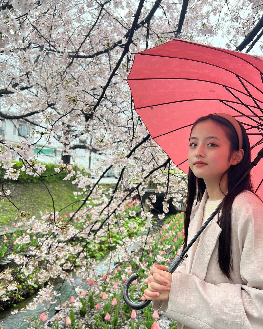 竹下優名さんのインスタグラム写真 - (竹下優名Instagram)「桜を見に行ってきたよ🌸 雨の日のお花見もいいね☔️ チューリップと桜が両方咲いていて綺麗だった🌷  #お花見#桜#さくら#🌸 #チューリップ#🌷#雨#雨の日のお花見 #ニコプチ#プチモ #竹下優名 @nicopuchi_official #jc1#09 #スターダストプロモーション」3月28日 12時19分 - yu_na0114.official