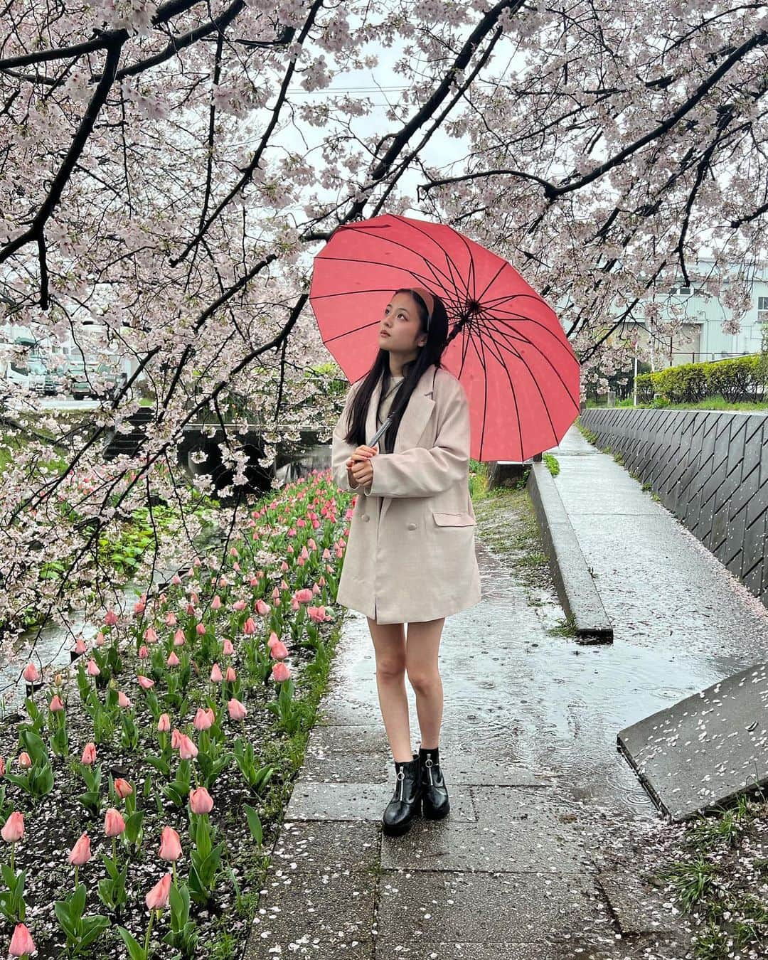 竹下優名さんのインスタグラム写真 - (竹下優名Instagram)「桜を見に行ってきたよ🌸 雨の日のお花見もいいね☔️ チューリップと桜が両方咲いていて綺麗だった🌷  #お花見#桜#さくら#🌸 #チューリップ#🌷#雨#雨の日のお花見 #ニコプチ#プチモ #竹下優名 @nicopuchi_official #jc1#09 #スターダストプロモーション」3月28日 12時19分 - yu_na0114.official